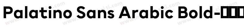 Palatino Sans Arabic Bold字体转换